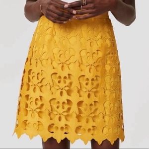 Loft Gold Lace Cut Out Overlay Mini Skirt - 4
